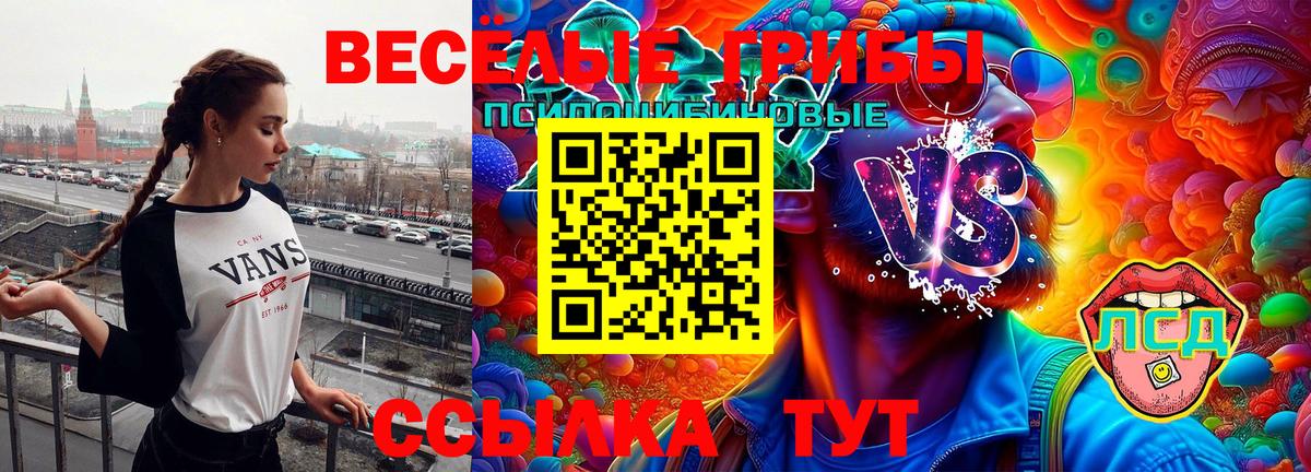 Кострома  MDMA  Меф кристаллы  Гашиш  Марихуана  ГАШ  Вход с VPN  Канабис  Лсд 25 